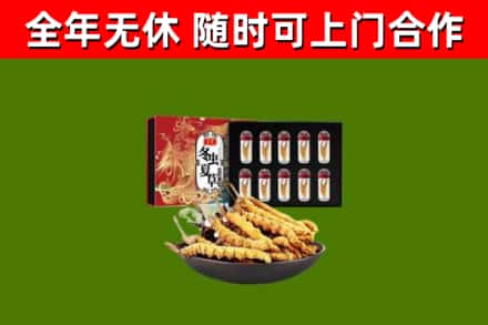 二道江区回收冬虫夏草价格