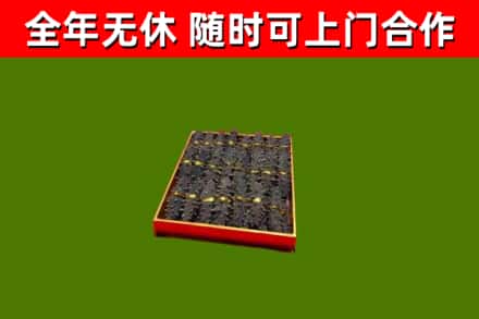 二道江区回收海参